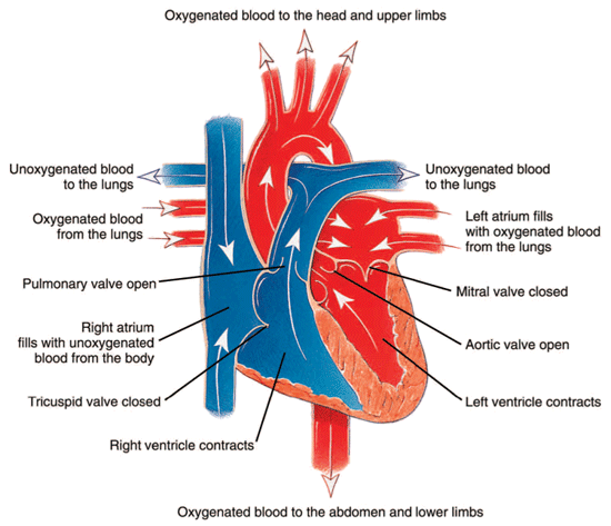 disability benefits for ischemic heart disease