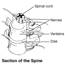 disability benefits for back pain